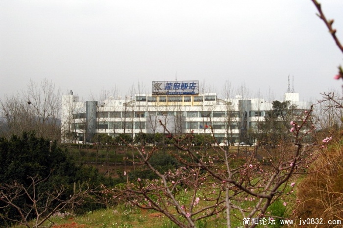 IMGP4443.jpg