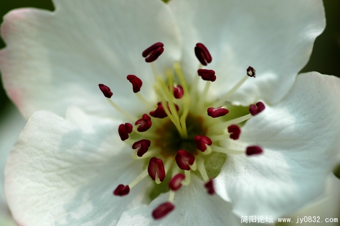 DSC_3221 拷贝.jpg