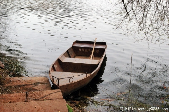 IMGP4428.jpg
