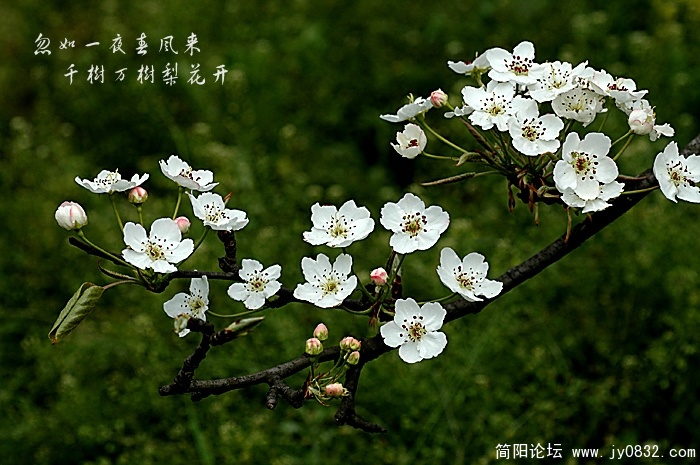 DSC_3224 拷贝.jpg