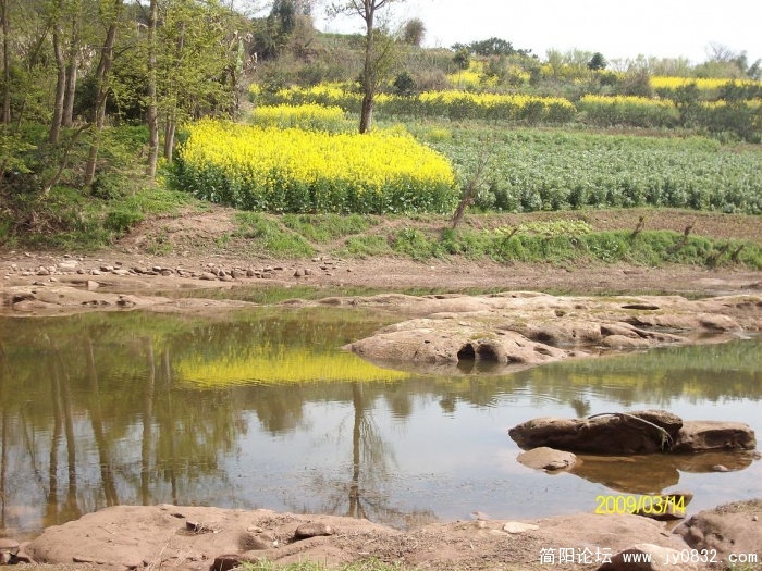 SANY0797.JPG