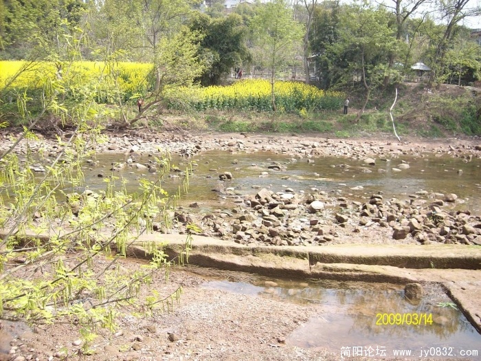 SANY0802.JPG