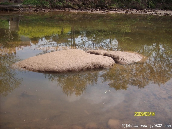 SANY0800.JPG