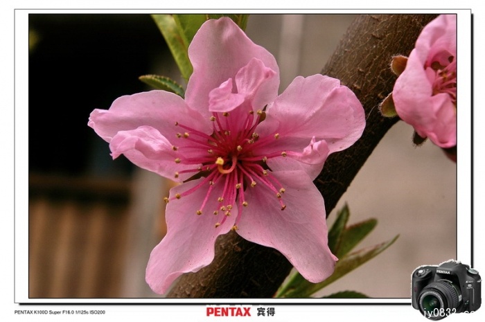 IMGP4470.jpg