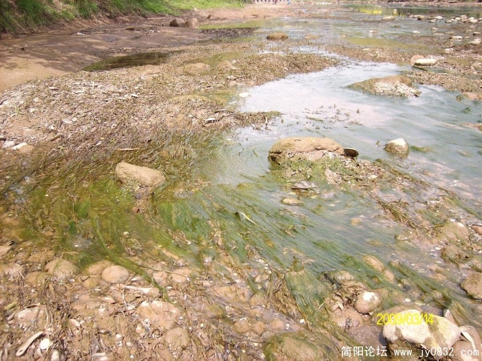 SANY0805.JPG