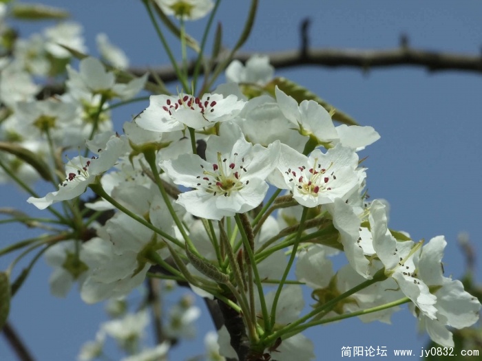 DSCF7914.JPG