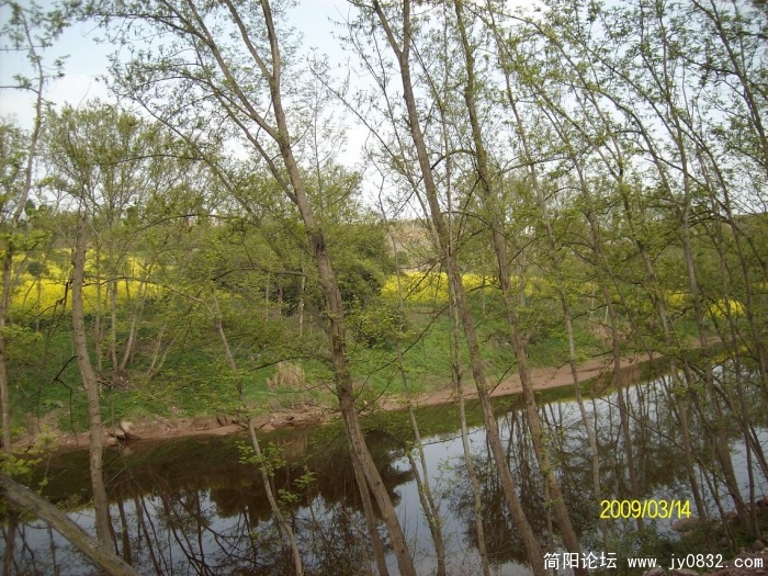 SANY0827.JPG