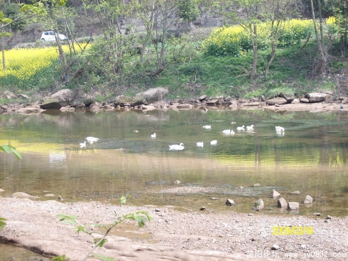 SANY0808.JPG