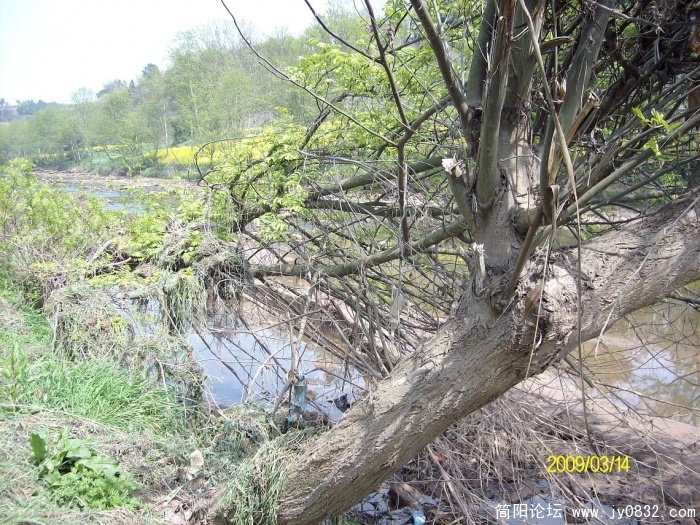 SANY0801.JPG