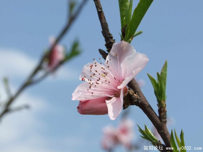 DSCF7982.jpg