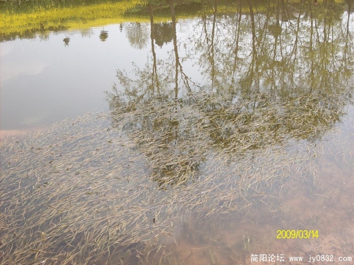 SANY0796.JPG