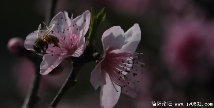 照片 508.jpg