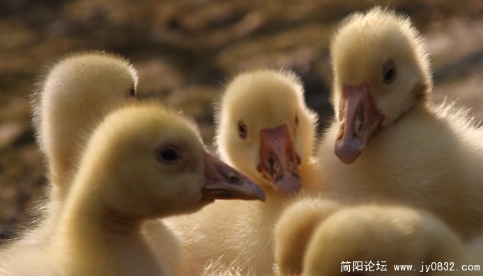 照片 570.jpg