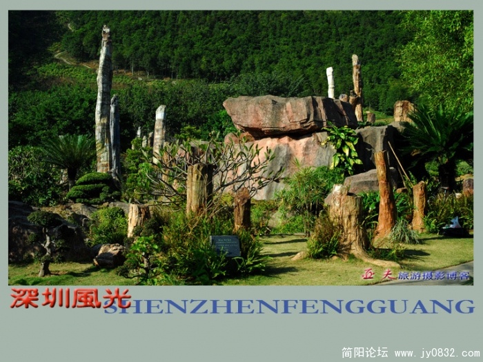 深圳风光之五——13副本.jpg