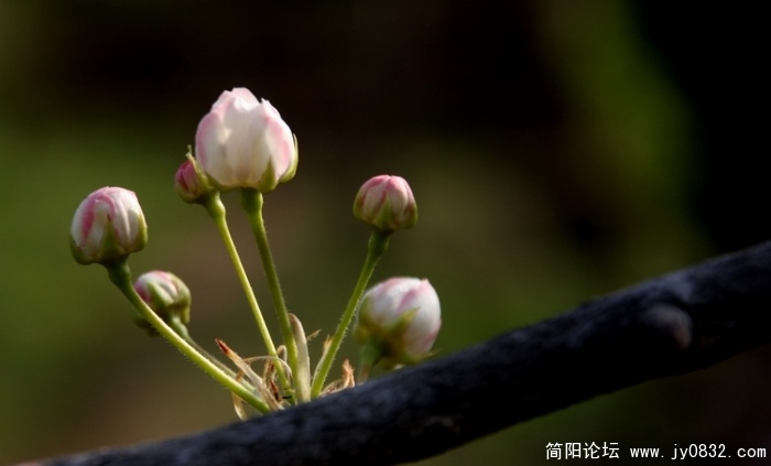 照片 195.jpg