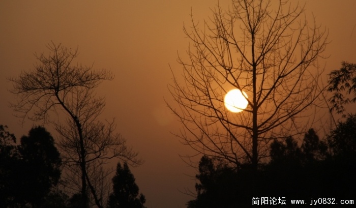 照片 685.jpg