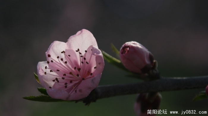 照片 170.jpg