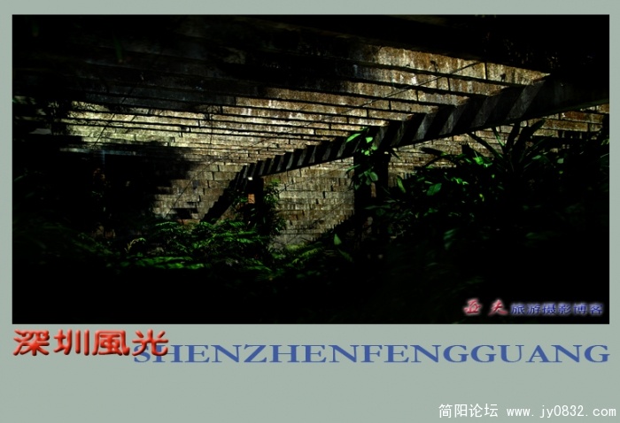 深圳风光之五——16副本.jpg