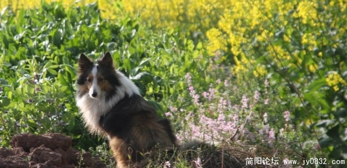 照片 217.jpg