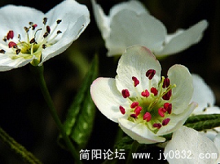 DSCN1720.jpg