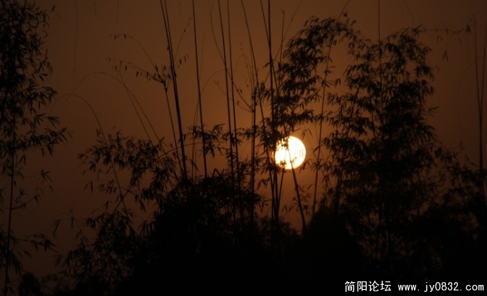 照片 677.jpg