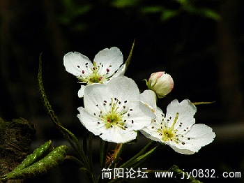 DSCN1718.jpg
