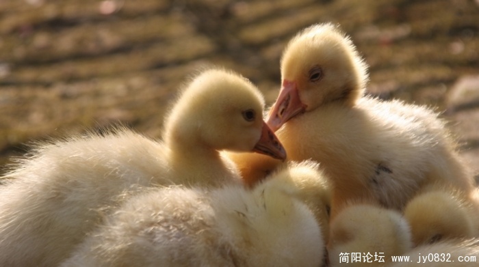 照片 576.jpg