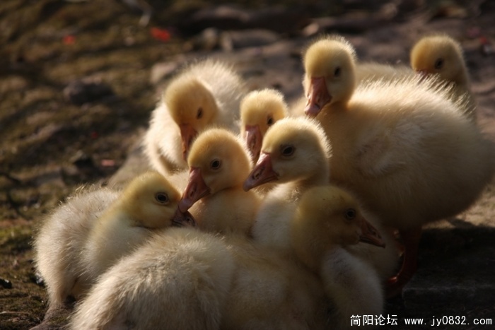 照片 569.jpg