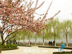 DSCN1623.jpg