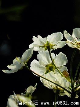 DSCN1730.jpg