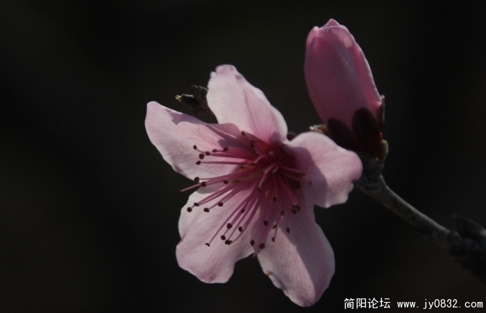 照片 204.jpg