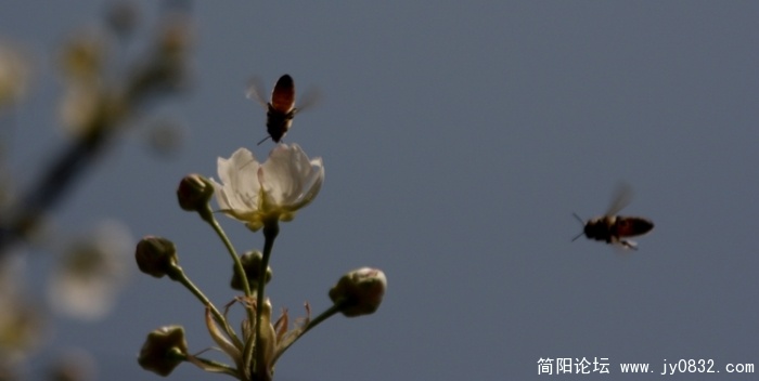 照片 350.jpg
