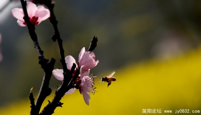 照片 547.jpg