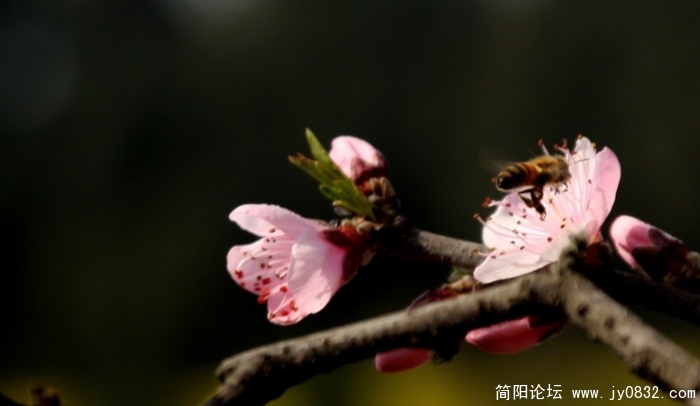 照片 284.jpg