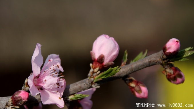 照片 149.jpg