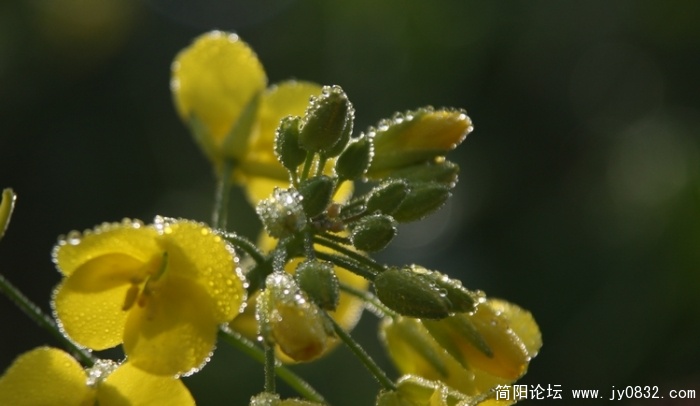 照片 131.jpg