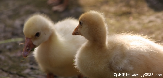 照片 612.jpg