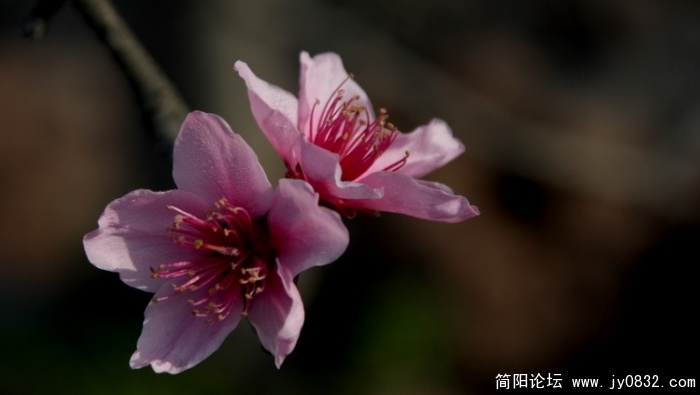 照片 153.jpg