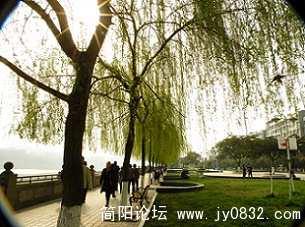 DSCN1612.jpg