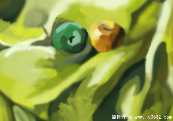 苹果.jpg