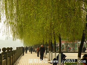 DSCN1615.jpg