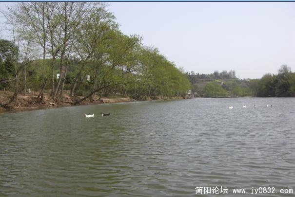 春江水暖.jpg