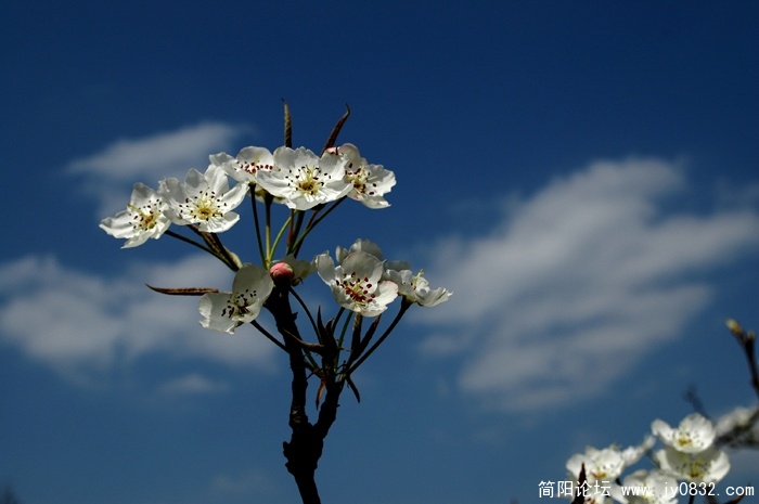 梨花沟03.jpg