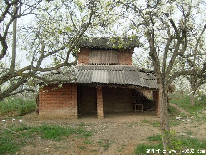 9.JPG