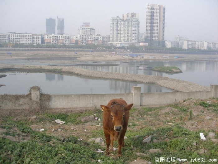 孤独的守望压缩图片.JPG
