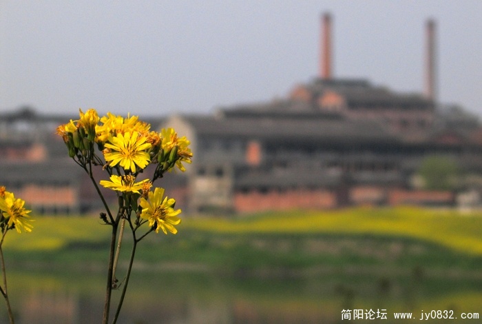 Canon   G5  1/2000S   速度优先