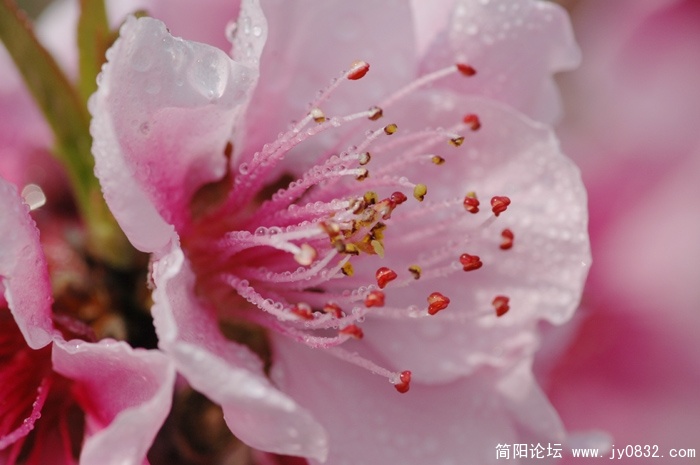 DSC_5650.JPG