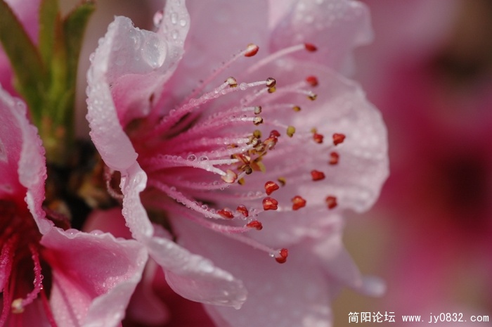 DSC_5649.JPG