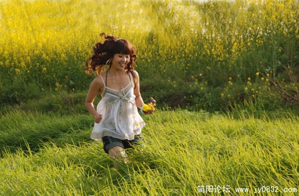 阳光。鲜花.jpg