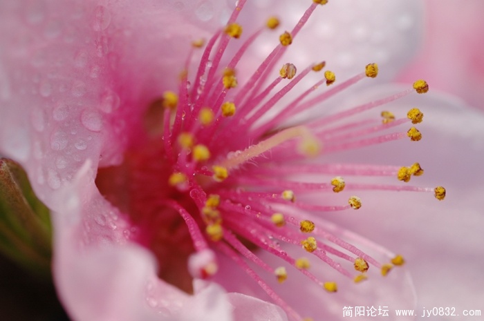 DSC_5654.JPG